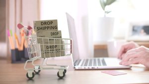 Discover the Real Cost of a Profitable Dropshipping Website